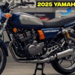 Yamaha RX100